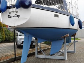 1976 Targa 96 for sale
