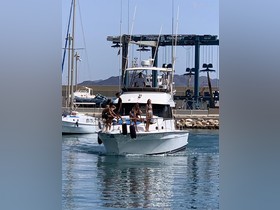 Mediterranean 38