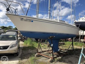 Acheter 1984 Cal 24