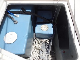 2015 Arno Leopard 39 kopen