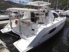 2015 Arno Leopard 39 kopen