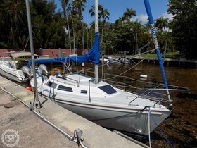 1990 Catalina Yachts 26 til salg