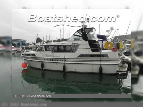 Broom Crown 37