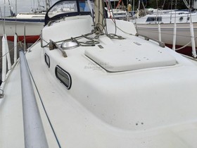 Comprar 1972 Albin Yachts Vega 27