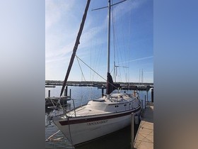 Buy 1984 Aloha 34