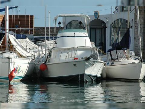 1979 Bertram 31 Flybridge