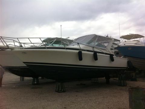 1994 Bertram 30 Moppie