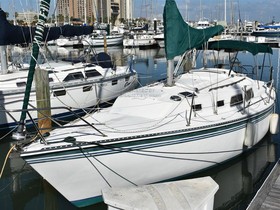 1983 Newport 30 til salg