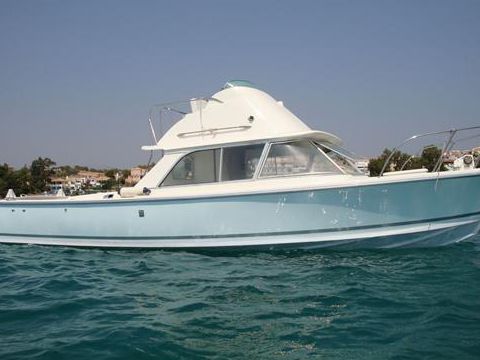Bertram 31