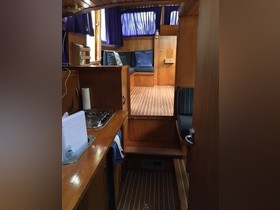 1978 Pedro 33