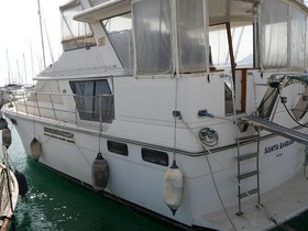 Carver Yachts 42