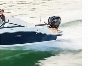 2020 Sea Ray Boats 190 Spx for sale