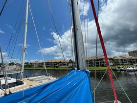 Buy 2010 Arno Leopard 38