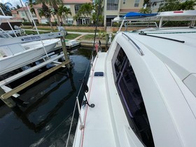 Buy 2010 Arno Leopard 38
