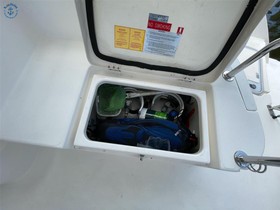 Buy 2010 Arno Leopard 38