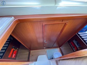 2010 Arno Leopard 38