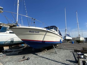 Osta 1989 Sea Ray Boats 270 Sundancer