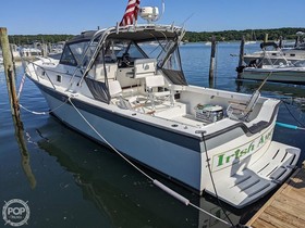 Luhrs 30 Alura