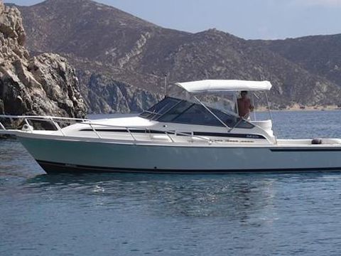 Blackfin 33 Combi