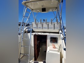 Koupit 1982 Skipjack 24