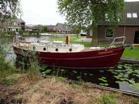 Danish Rose 31