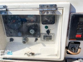 Buy 1980 Contest 38S
