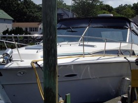 Buy 1987 Sea Ray Boats 390 Sundancer