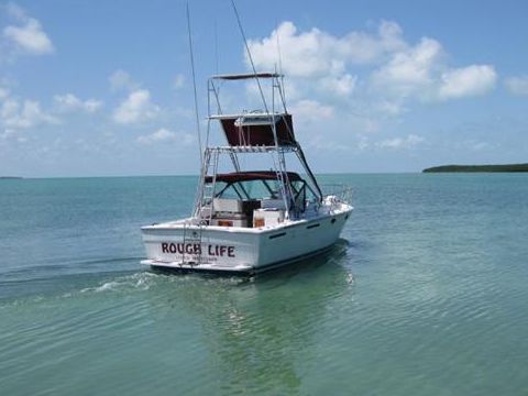 Acquistare 1985 Tiara 3100 Open
