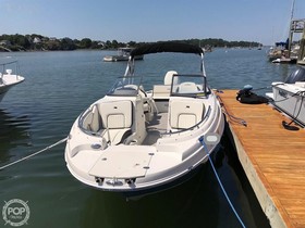 Buy 2020 Stingray 230
