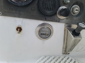 1981 Hunter