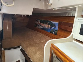 1981 Hunter