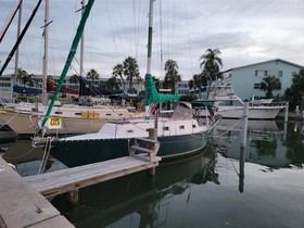 1981 Hunter