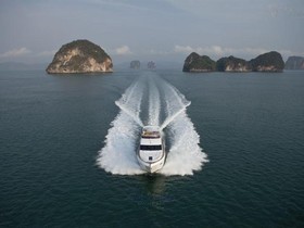 Buy 2011 Princess 64
