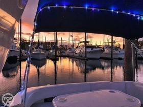 1994 Sea Ray Boats 300