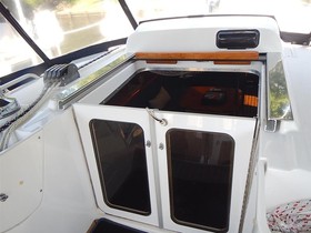 Buy 2005 Hunter