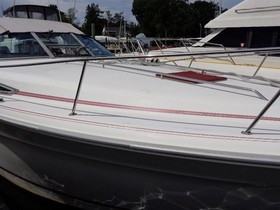 Buy 1990 Sea Ray Boats 310 Sundancer