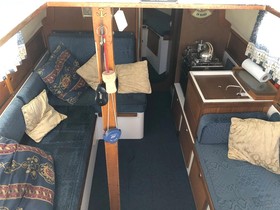 1975 Westerly Berwick for sale