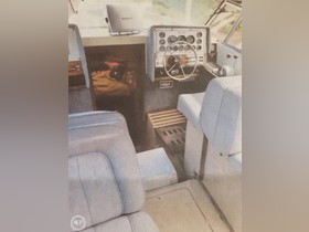 1981 Formula 26