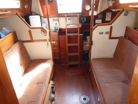 1981 Tyler 31 for sale