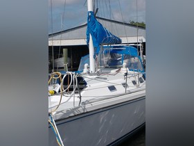 1989 Catalina Yachts 42 на продажу