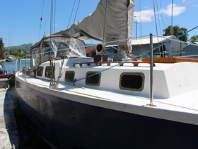 Acquistare 1966 Buchan 37