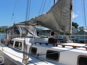 1966 Buchan 37