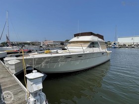 Buy 1982 Sea Ray Boats 355T Sedan