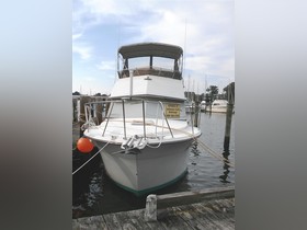 1984 Carver Yachts 3207 eladó