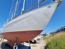 Buy 1962 Albatross