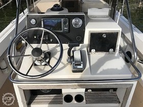 1982 Wellcraft 248 for sale