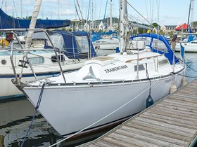 Buy 1977 Trapper 500