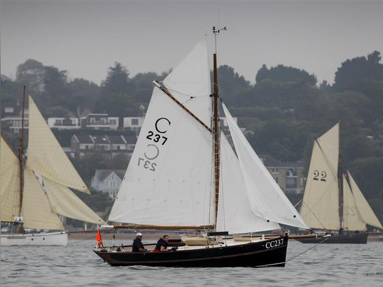 Sailing boats with cuddy cabin