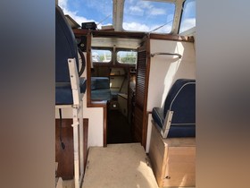 1998 Cox 22