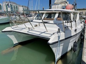 2006 Seacat 995 Classic à vendre